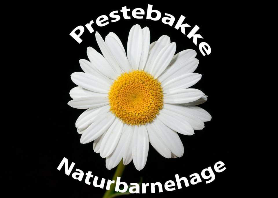 Prestebakke Naturbarnehage logo.